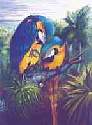 BlueandGolds1.jpg
